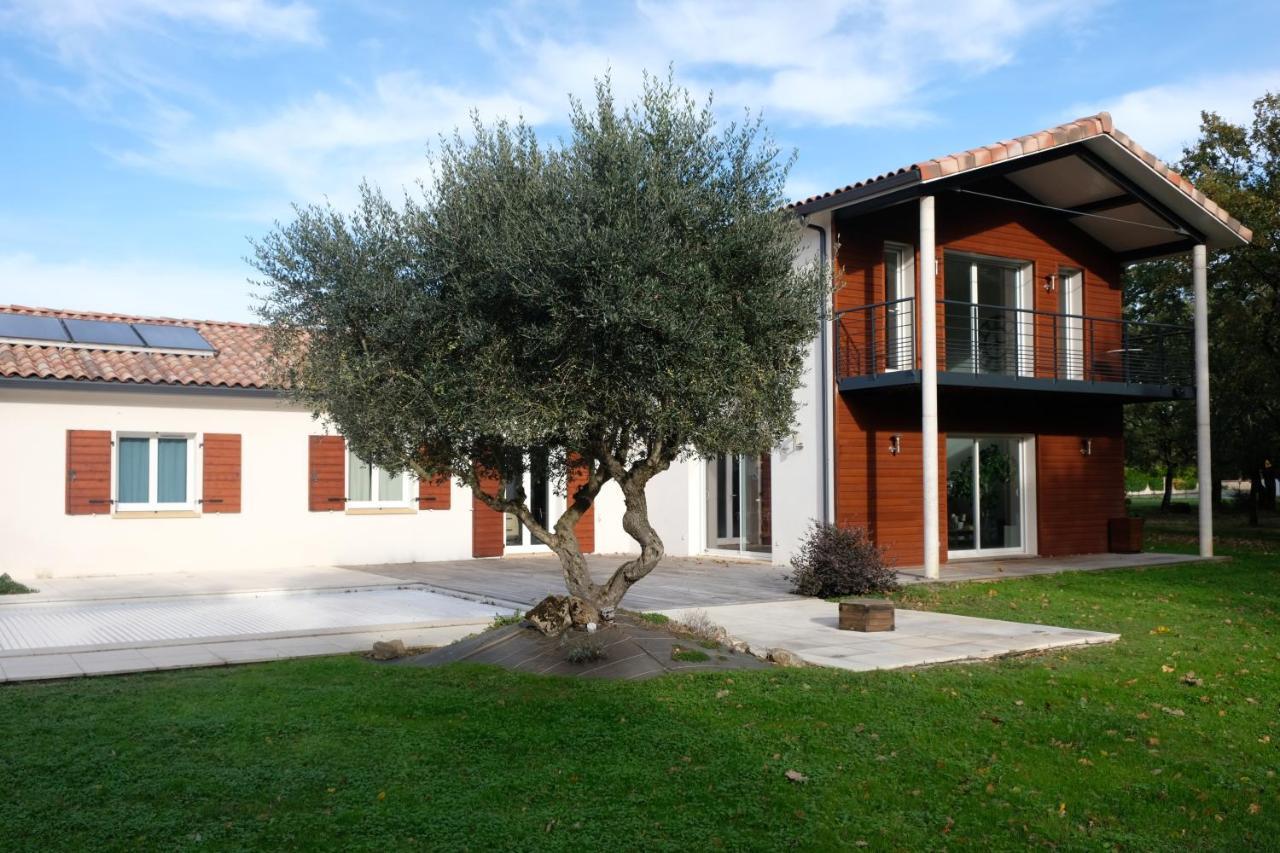 La Planette Bed & Breakfast Aussonne Bagian luar foto